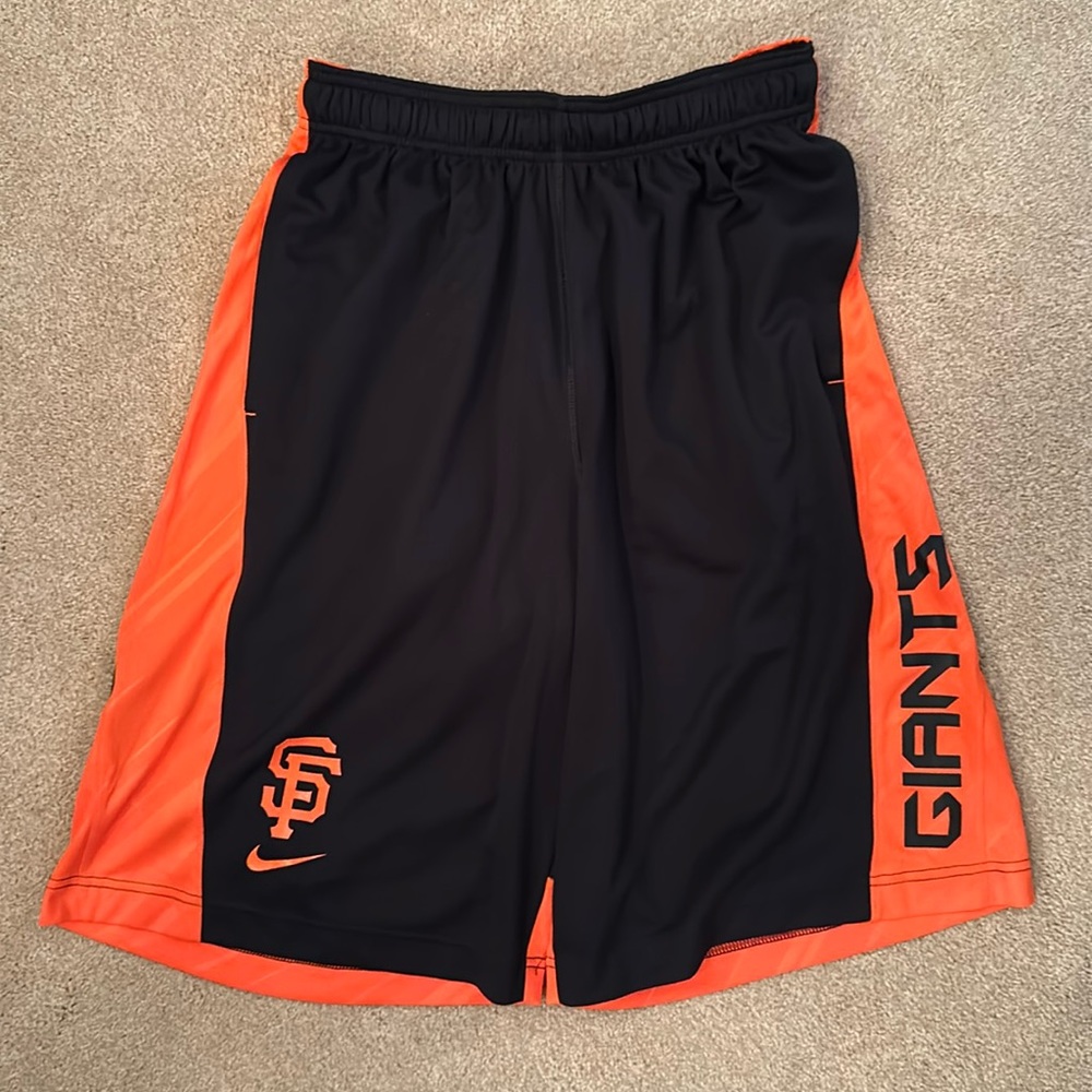 Nike BSBL Dri Fit Shorts